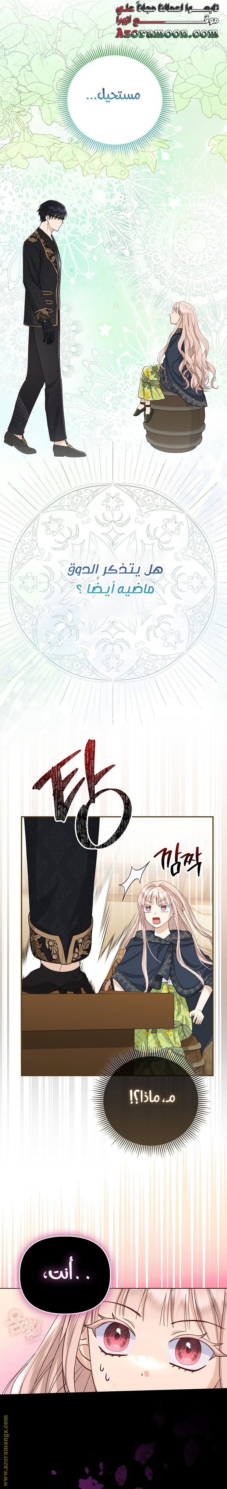 الصفحة 27