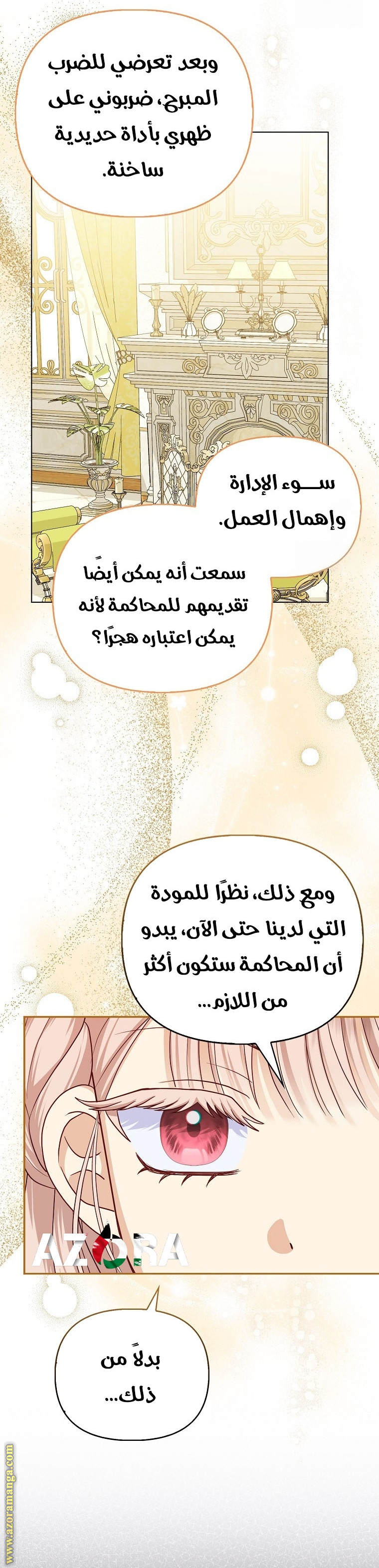 الصفحة 17
