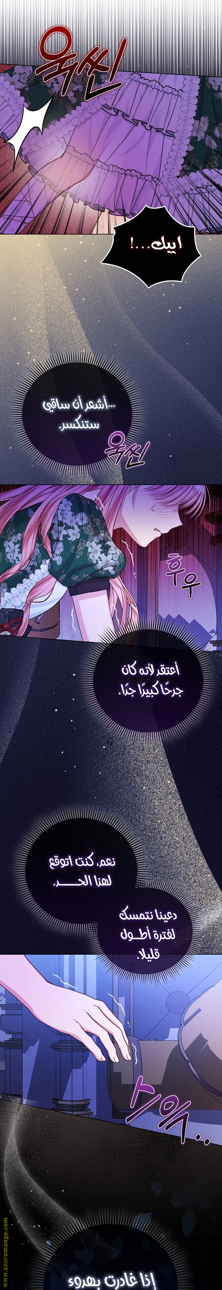 الصفحة 25