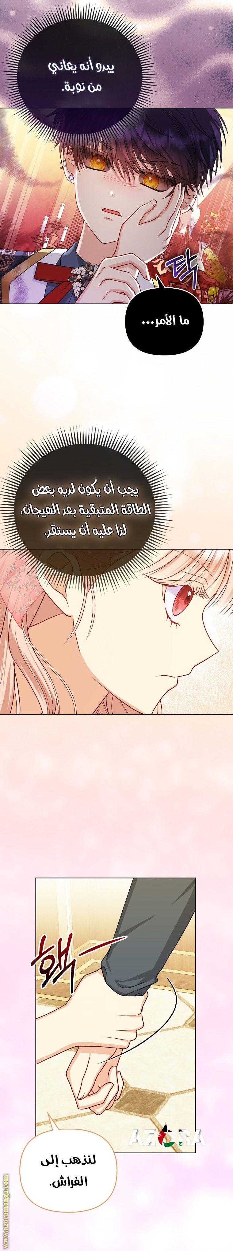 الصفحة 13