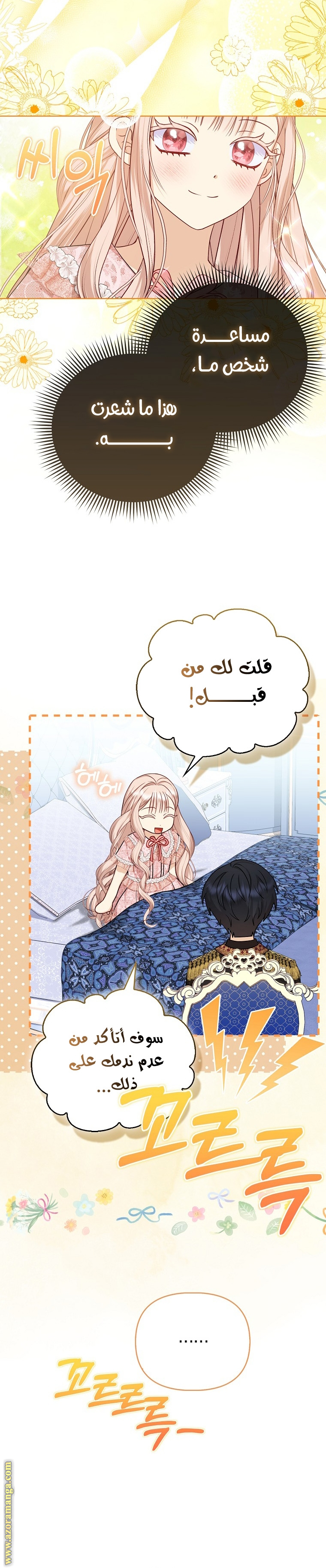 الصفحة 17