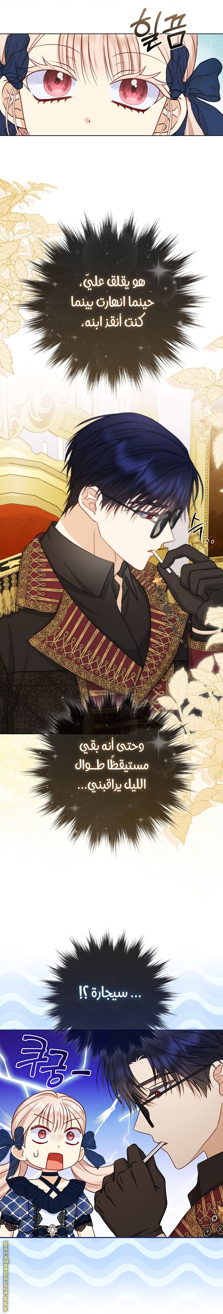 الصفحة 21