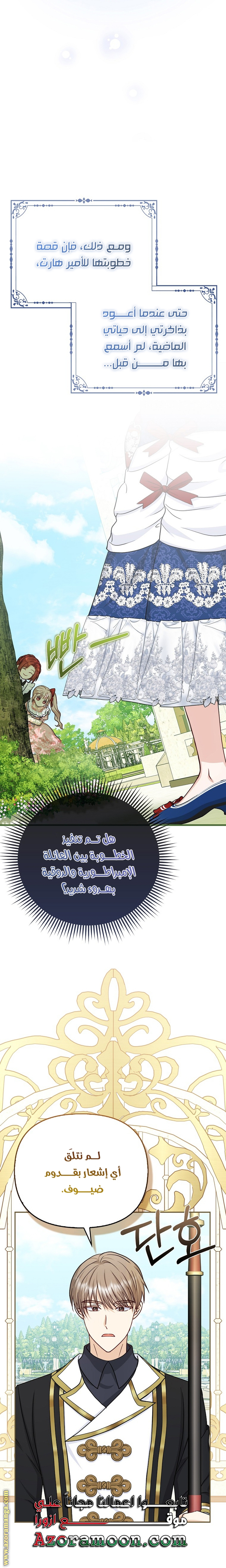 الصفحة 17