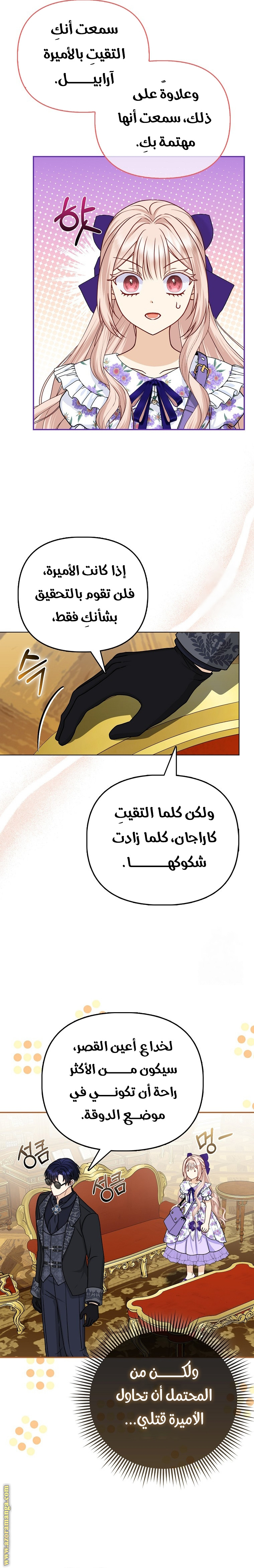 الصفحة 17