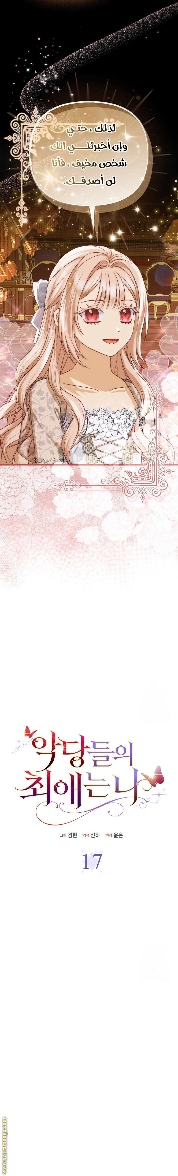 الصفحة 17