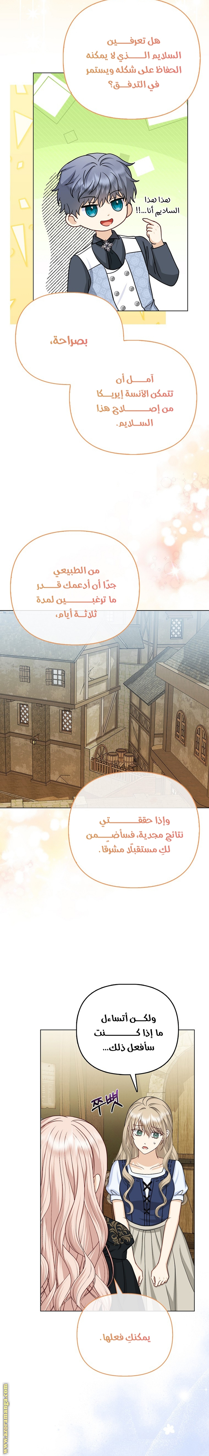 الصفحة 25