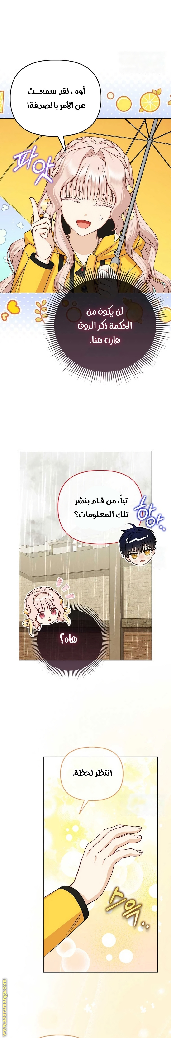 الصفحة 3