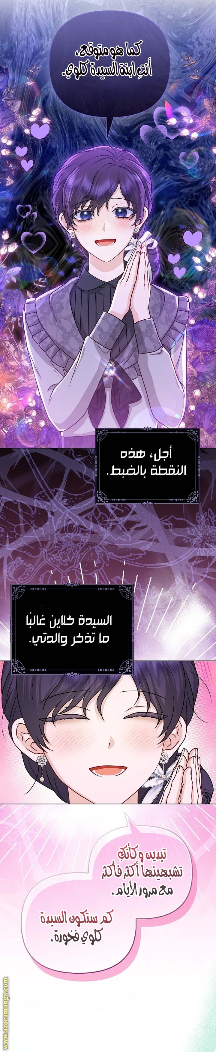 الصفحة 17