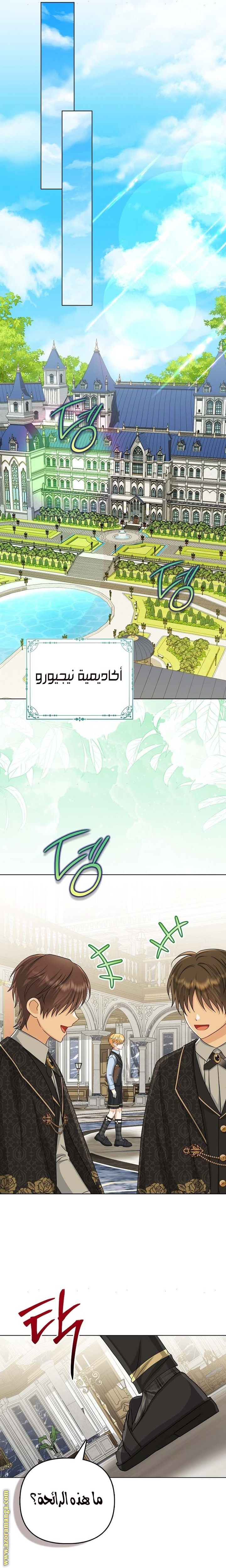 الصفحة 21