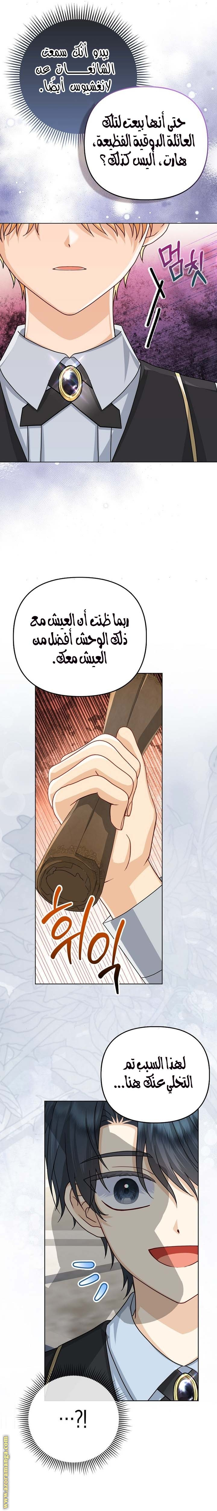الصفحة 25