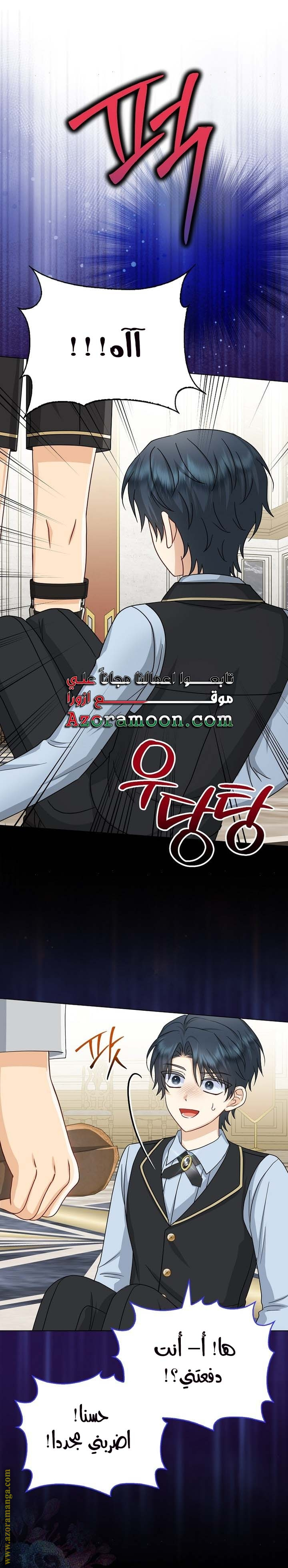 الصفحة 26