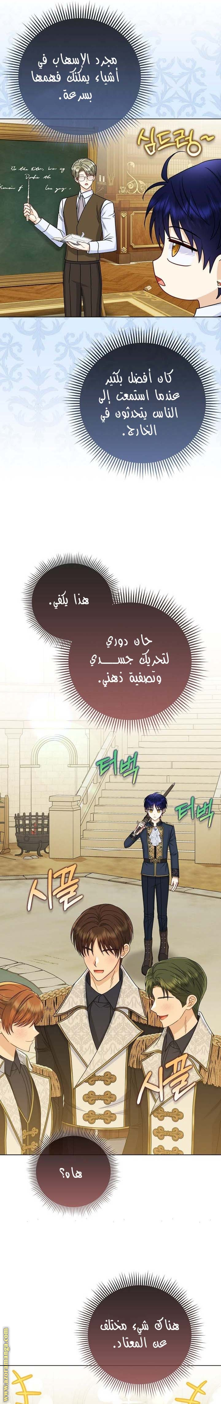 الصفحة 17