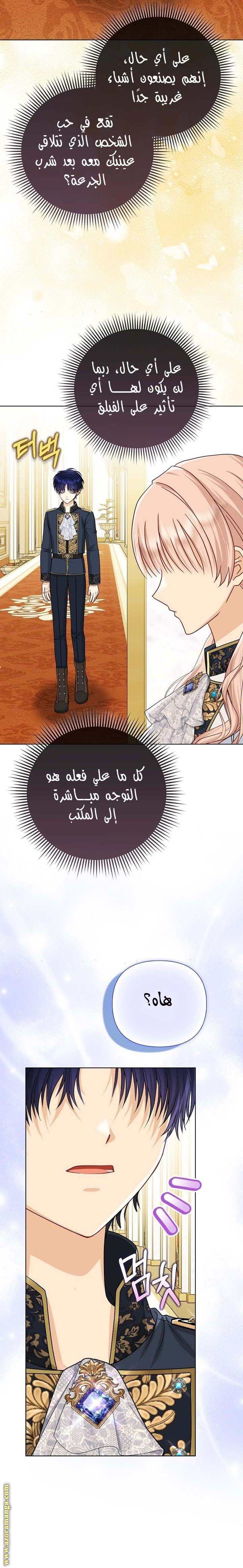 الصفحة 23