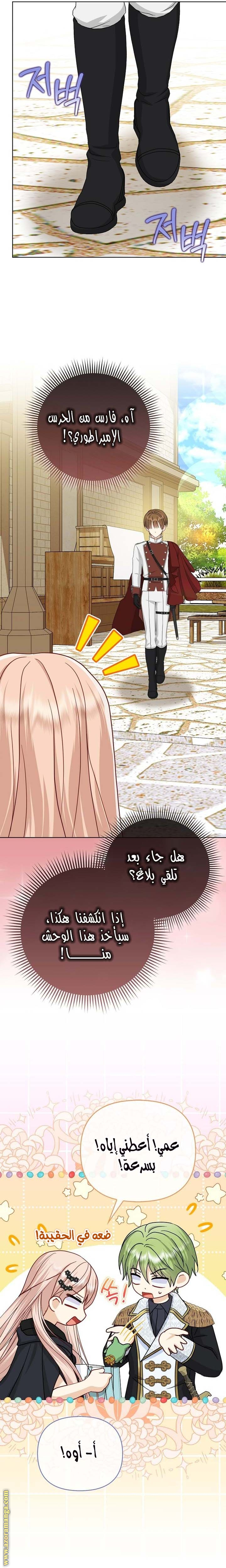 الصفحة 25