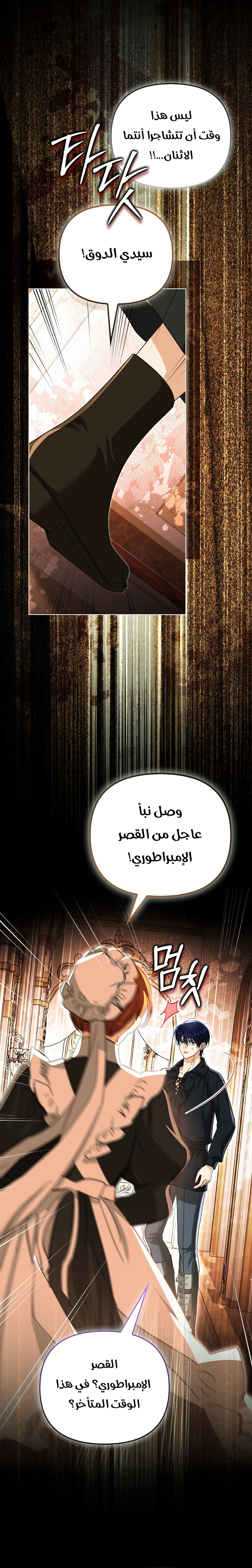 الصفحة 12