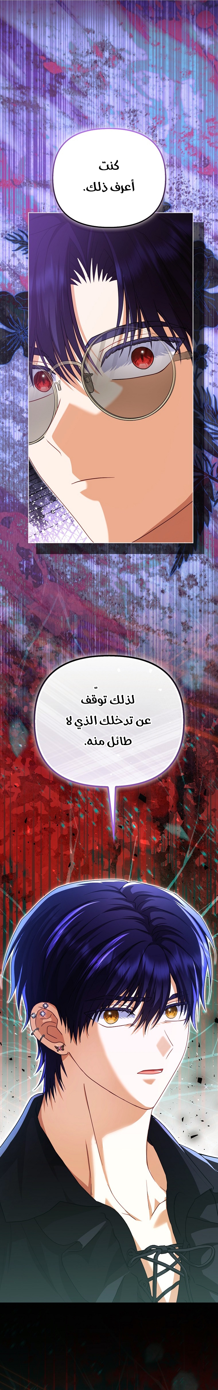 الصفحة 17