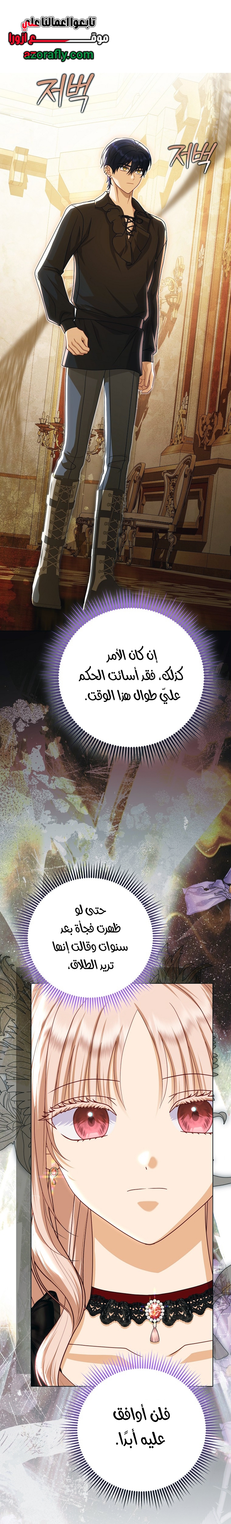 الصفحة 27
