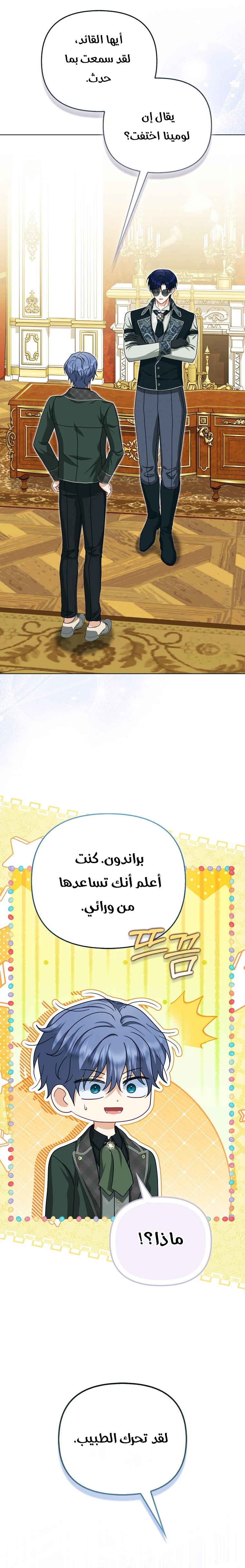 الصفحة 29