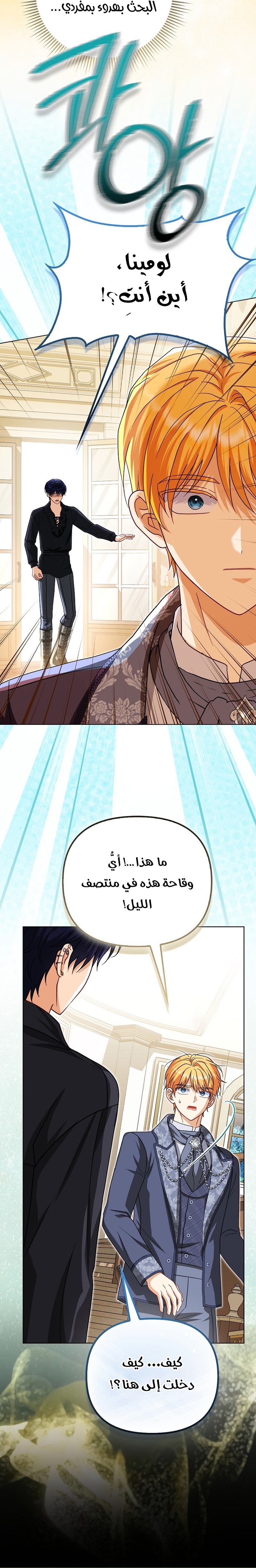 الصفحة 13