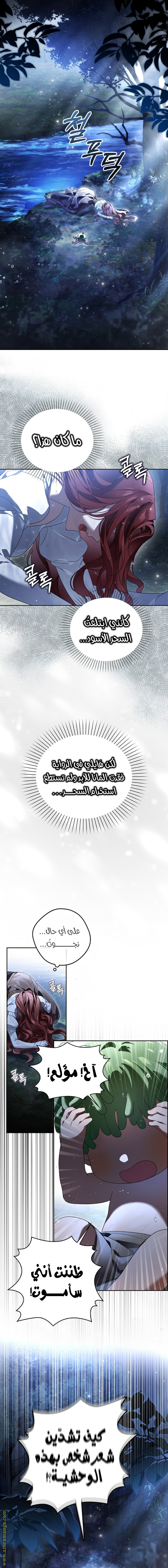 الصفحة 19