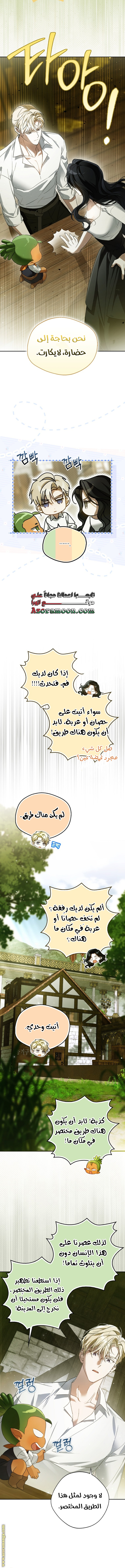 الصفحة 13