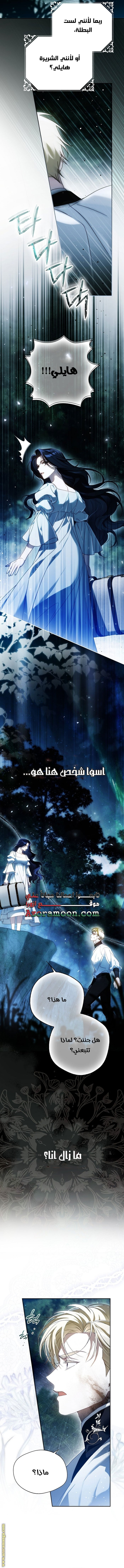 الصفحة 17