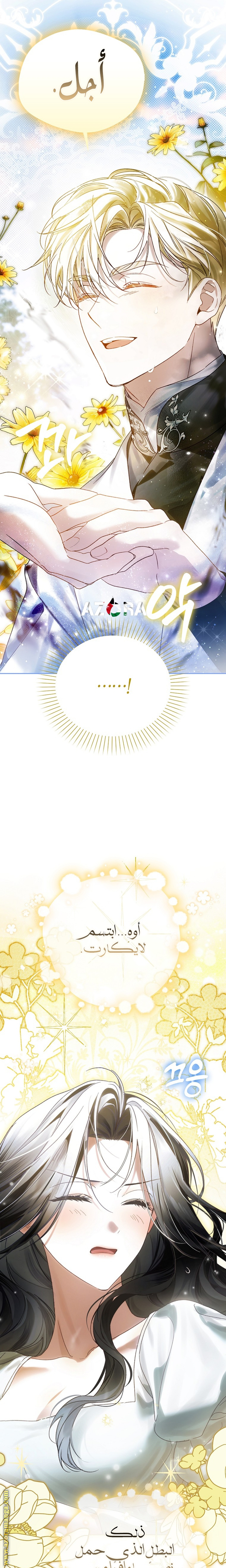 الصفحة 29