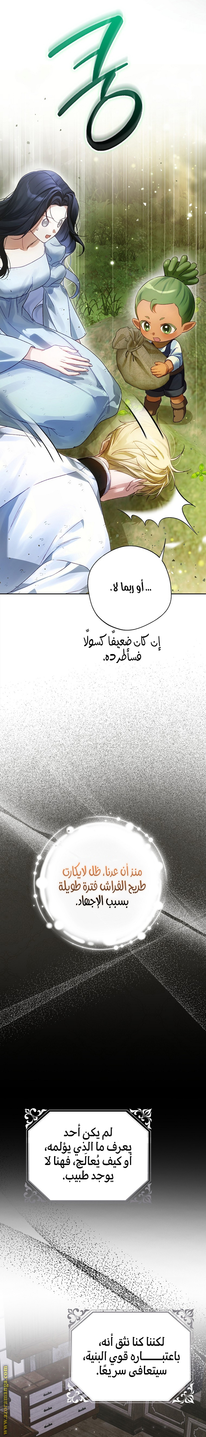 الصفحة 11