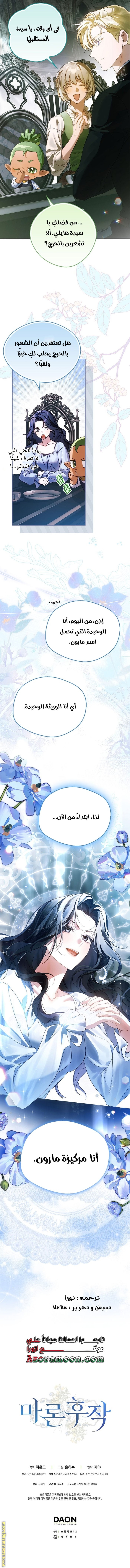 الصفحة 19