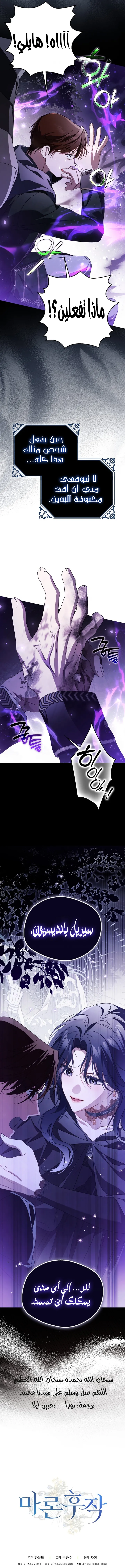 الصفحة 17