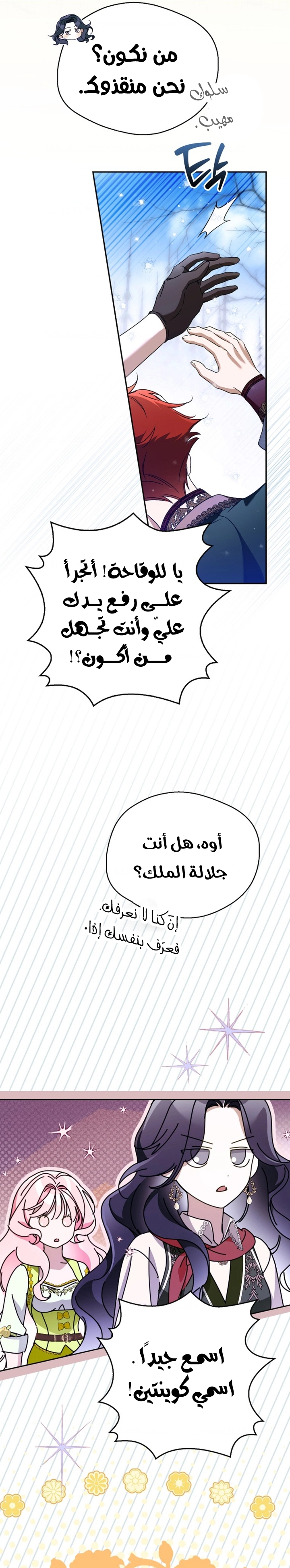 الصفحة 13