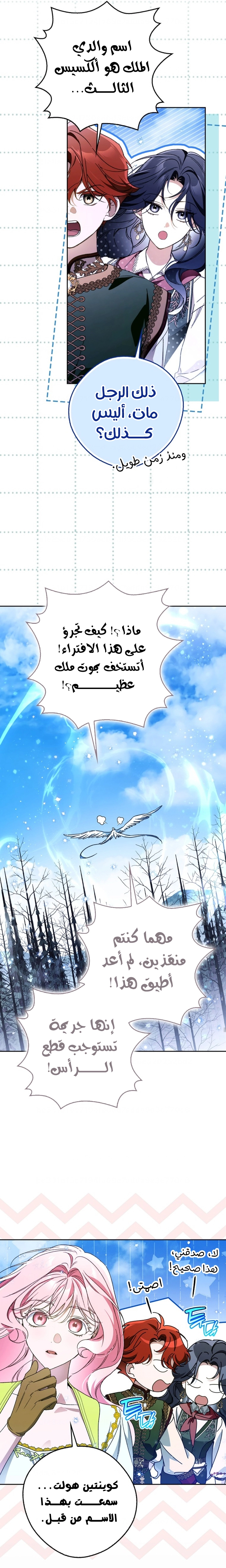 الصفحة 17