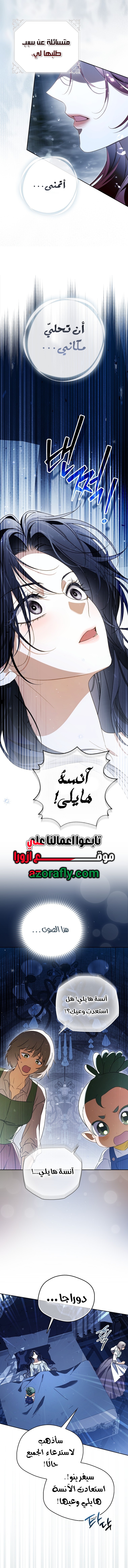 الصفحة 17